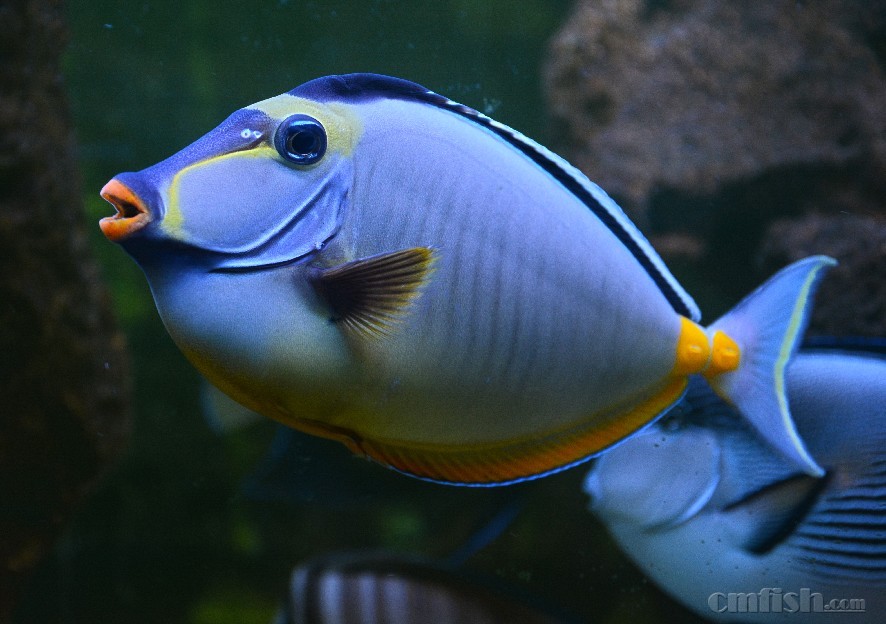 10+�칷���ʷ�