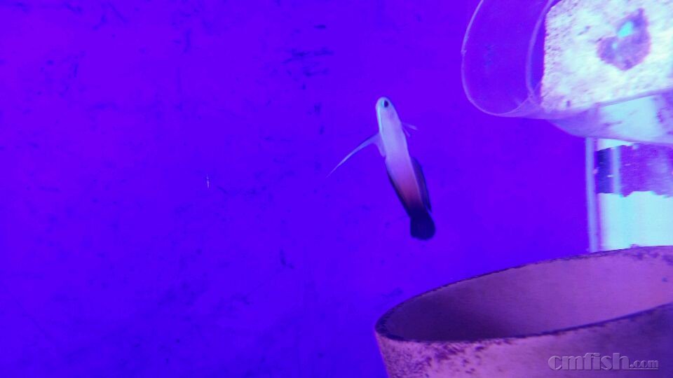 20160113204224_569646306c4cf.jpg