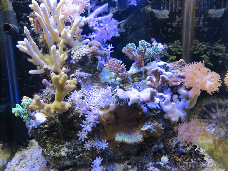 2016��1��14����������