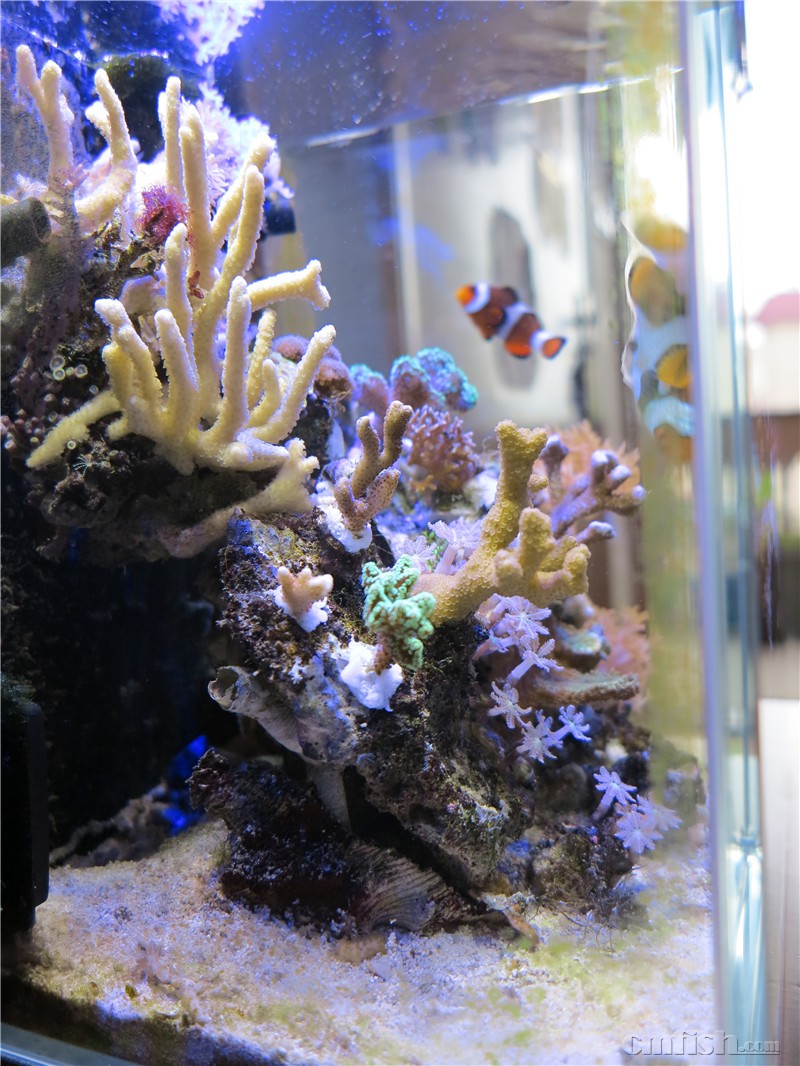 2016��1��14����������