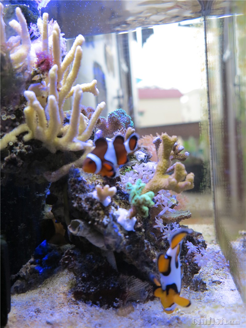 2016��1��14����������