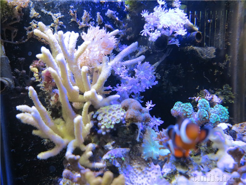 2016��1��14������