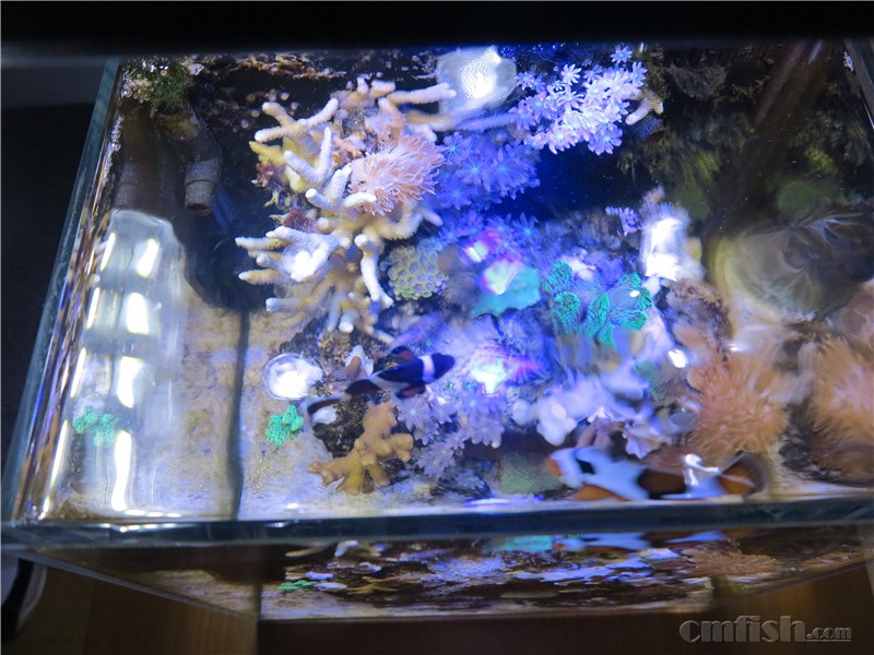 2016��1��14����������