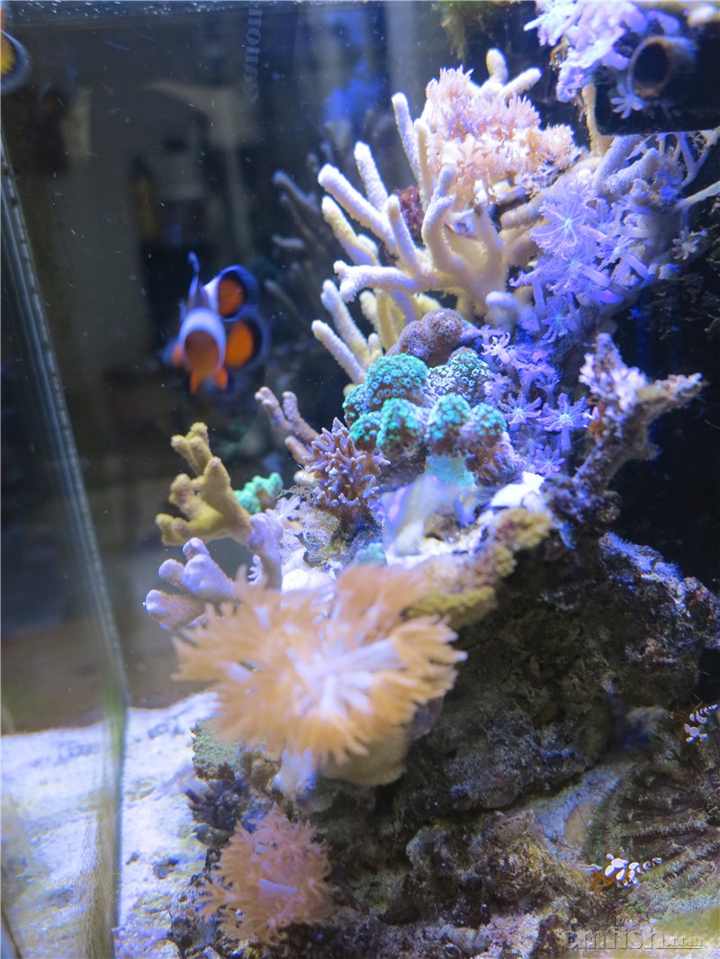 2016��1��14����������