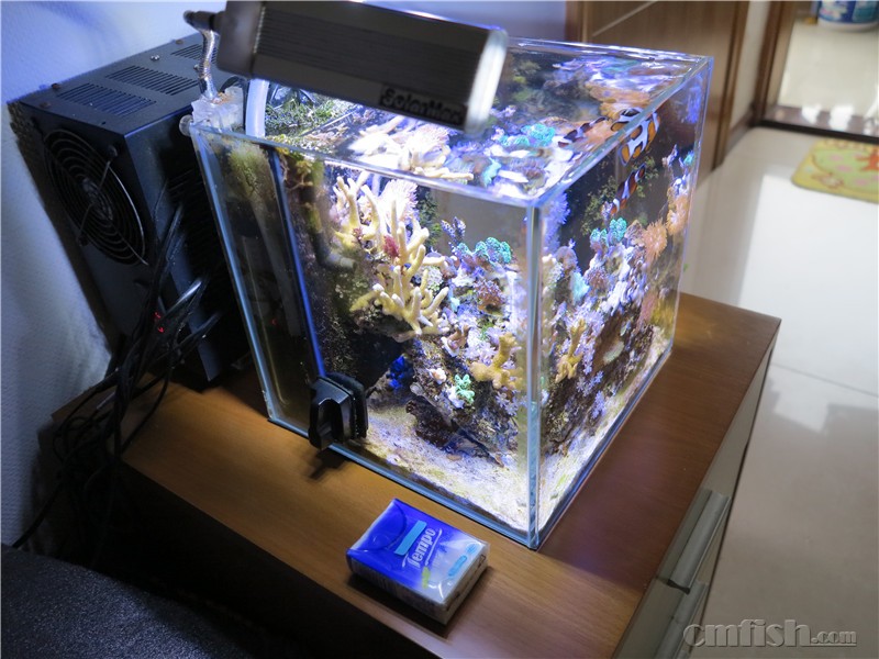 2016��1��14������