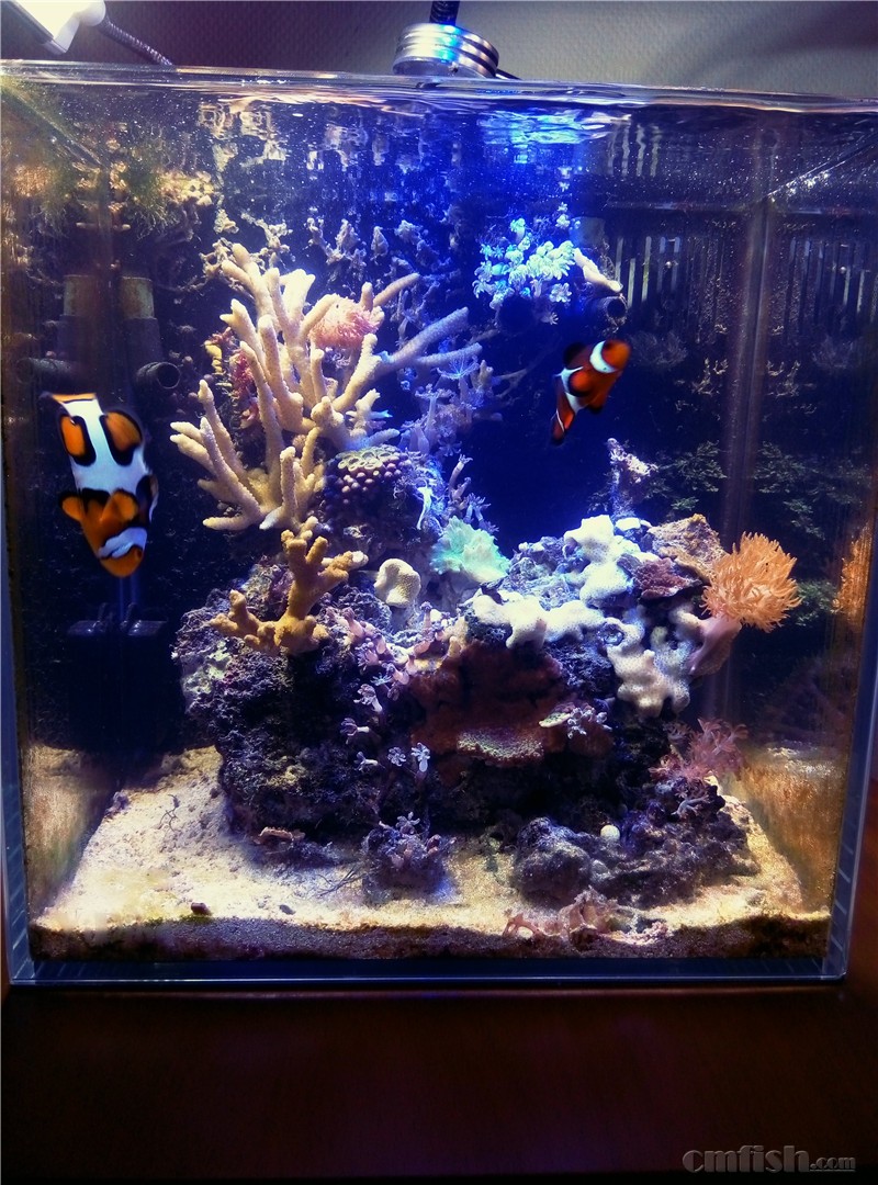 2016��1��10�����㡣ǿƽ���У���ɽͷsps