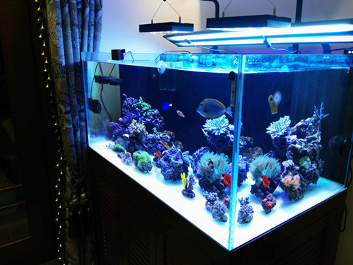 �н���������