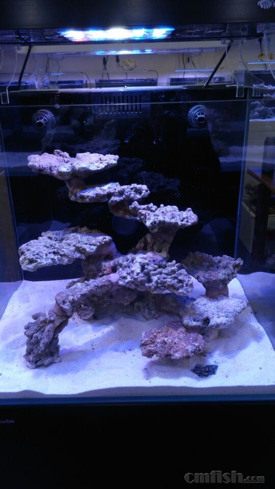 一款跨时代的造景利器——海魔方造景胶