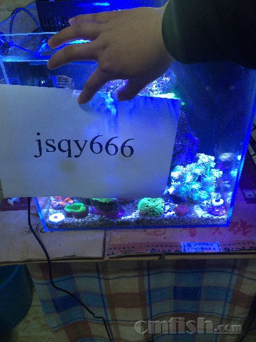 image.jpeg