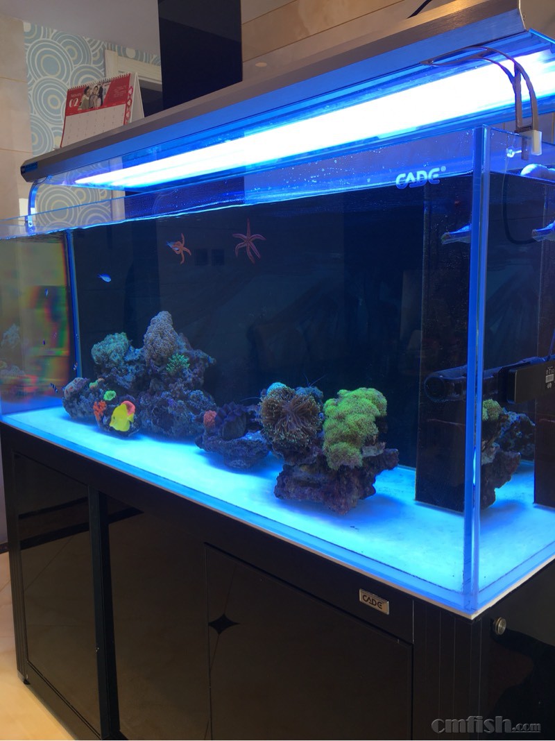 青岛转让彩蝶鱼缸150.60