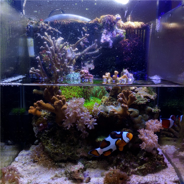 ���һ�롣�����ˮ��9L����