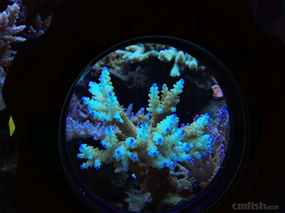 20160320230017_56eebb0133df1.jpg