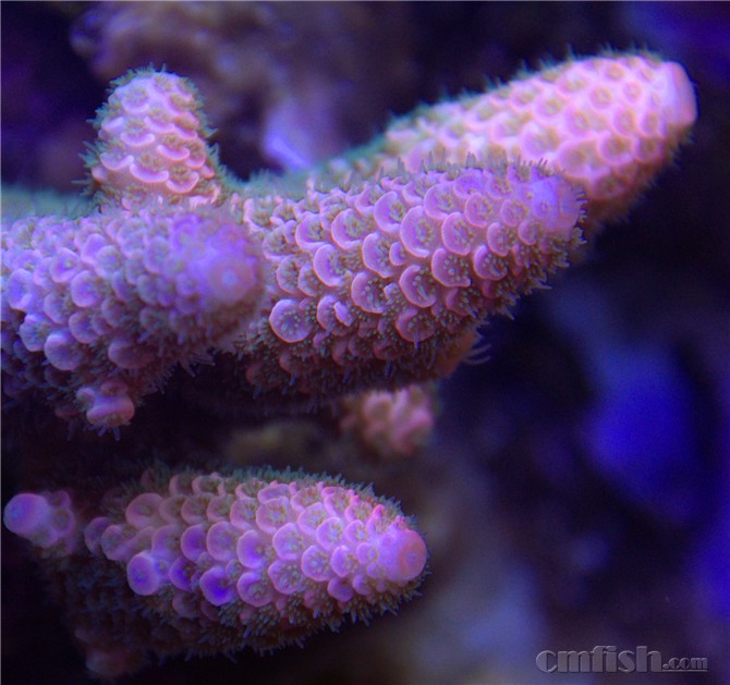 1208 030_b����.jpg