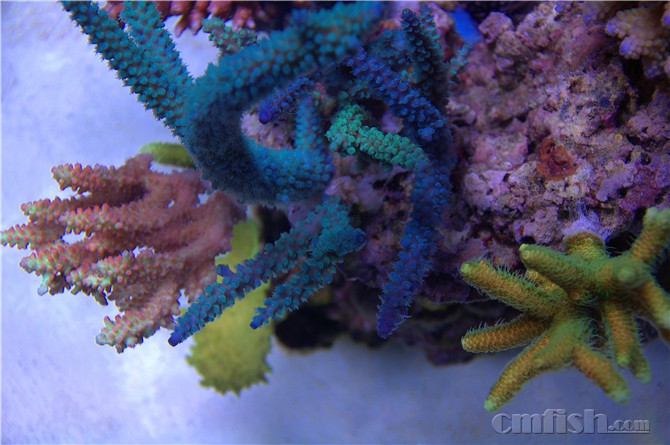 1208 066_����.jpg