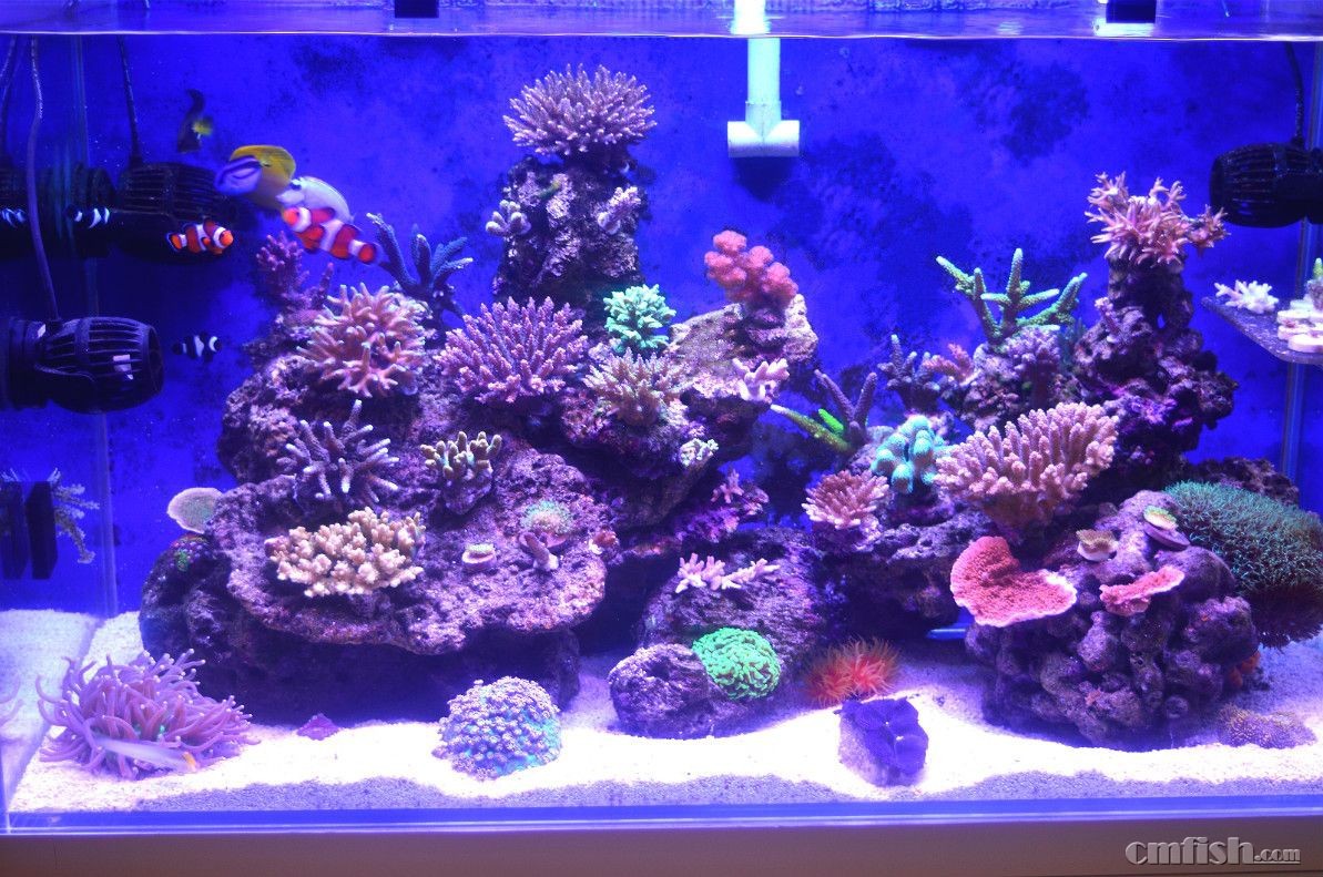 15��11��30��