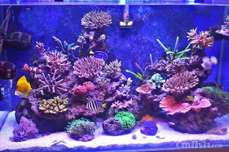 16��1��15��