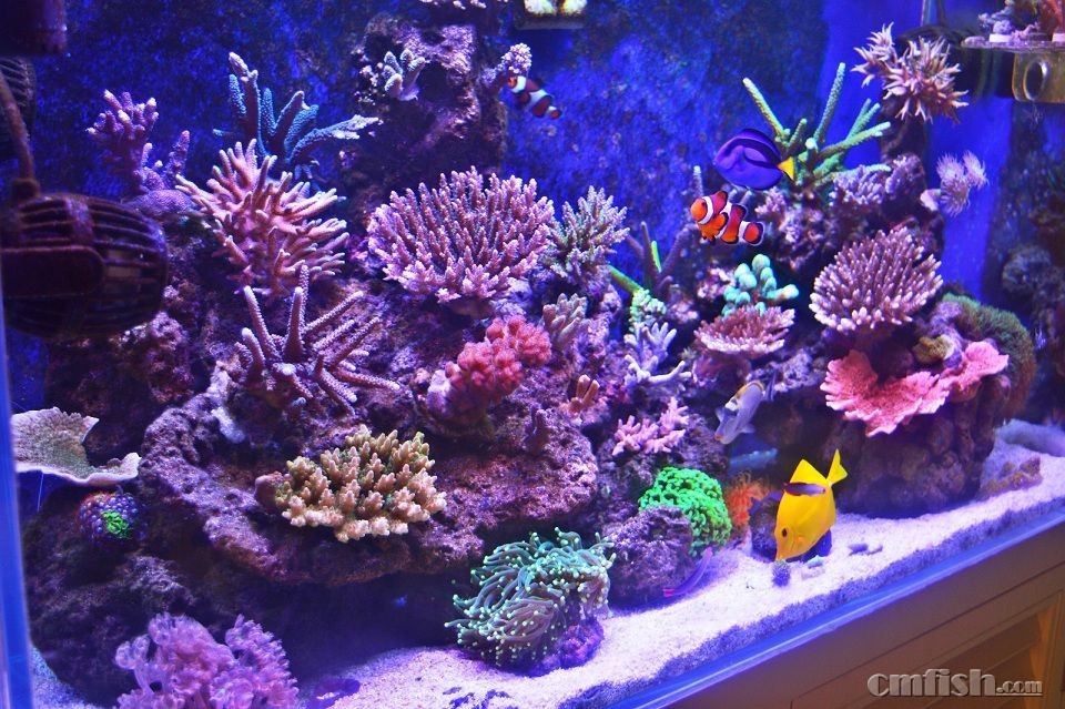 16��1��15��