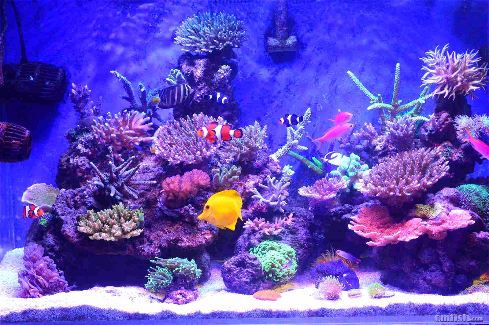 16��2��1��