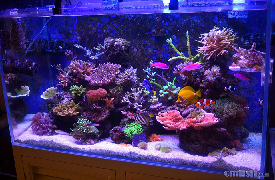 16��3��20��