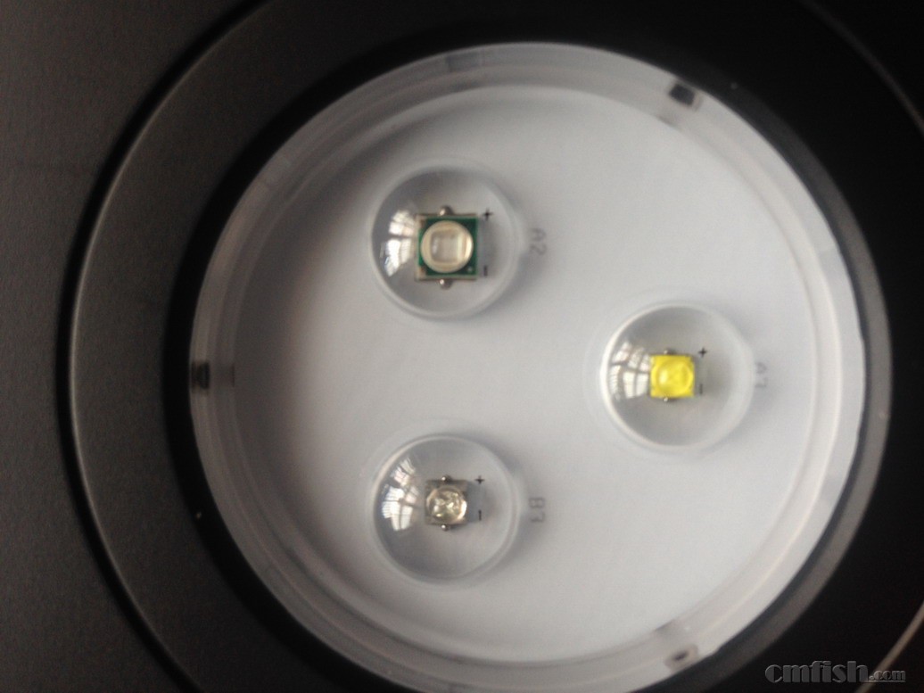 ϸ�������Ư��