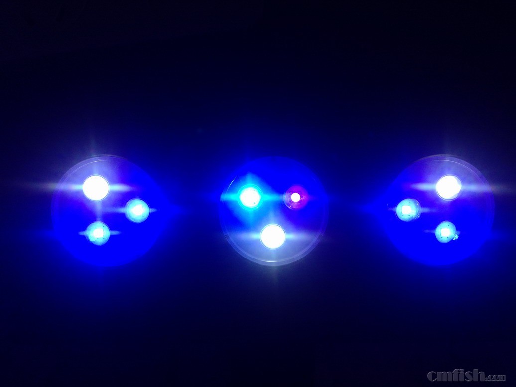 ���׻��ǱȽ�ȫ