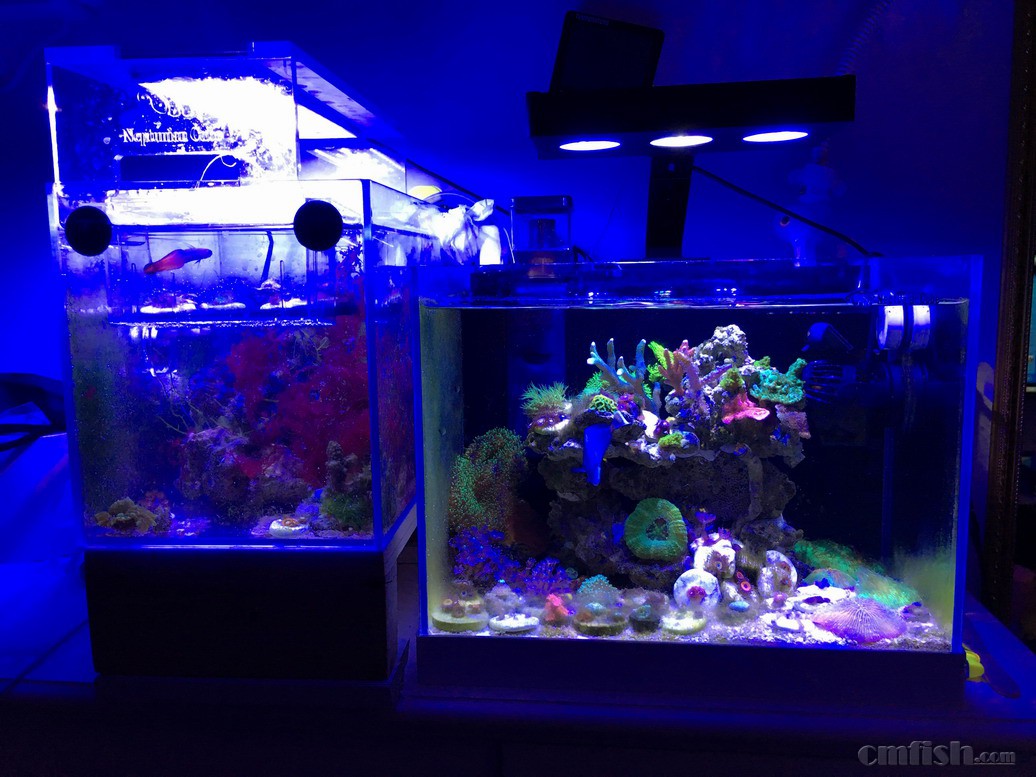 �µƸ��գ�Ч�����ǲ�����