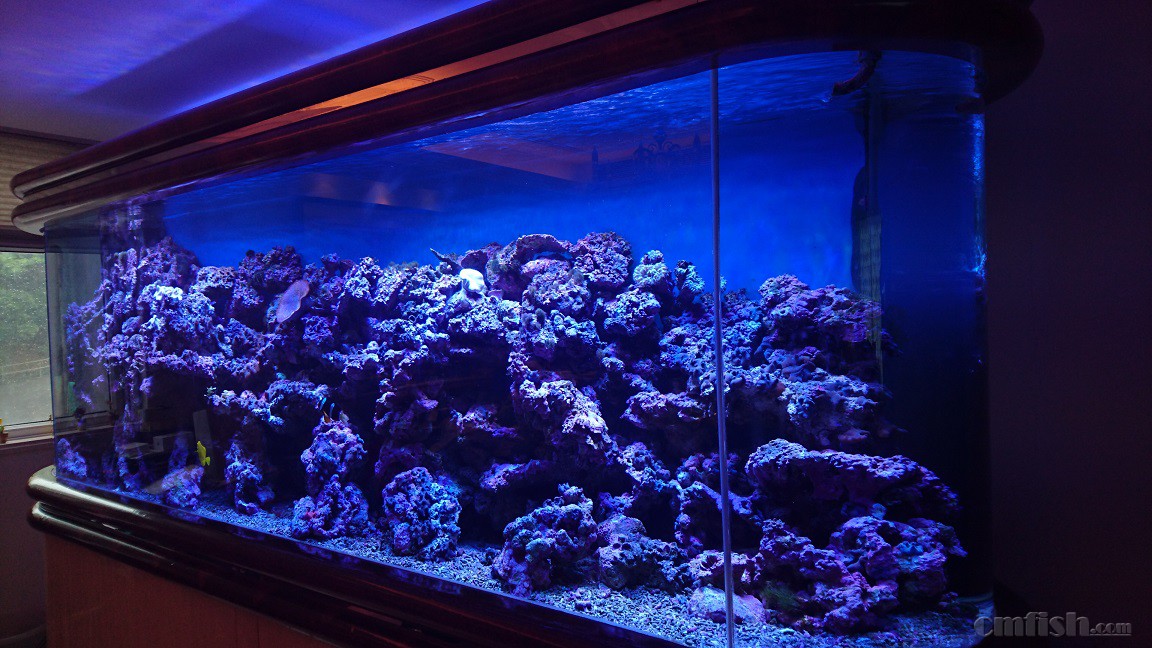 2016-04-24 14.23.40.jpg