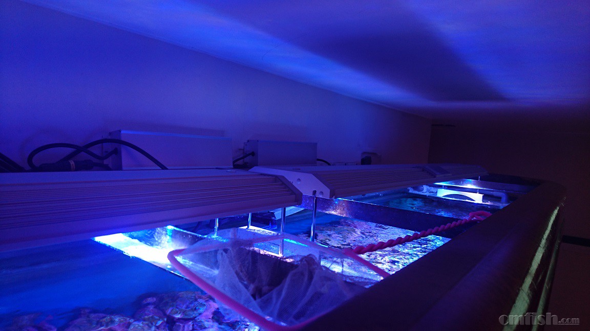 2016-04-24 14.23.03.jpg