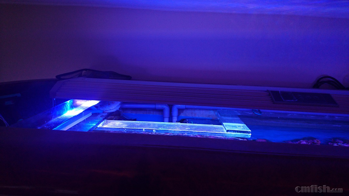 2016-04-24 14.23.06.jpg