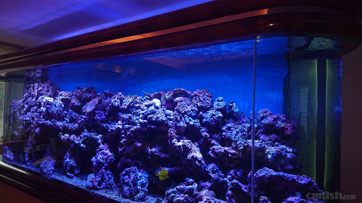 2016-04-24 14.24.04.jpg