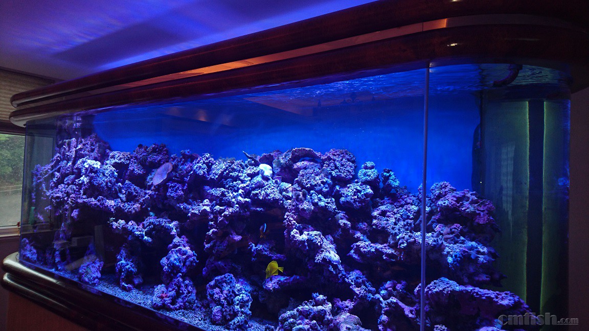 2016-04-24 14.24.06.jpg