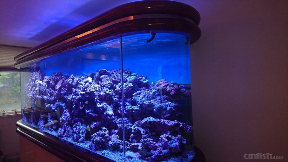 2016-04-24 14.24.15.jpg