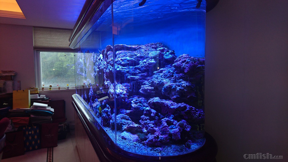 2016-04-24 14.24.34.jpg