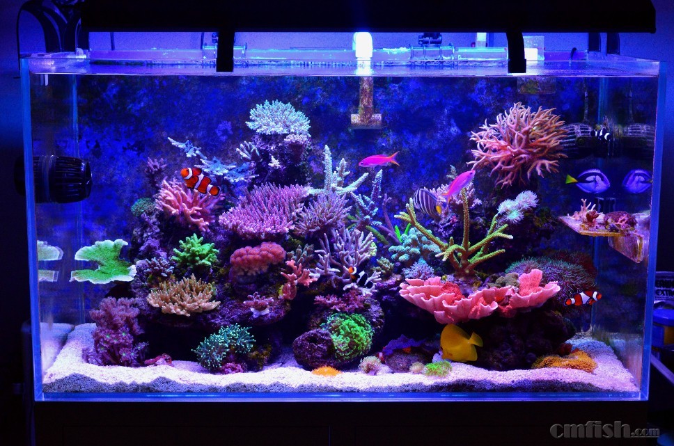 16��5��12��