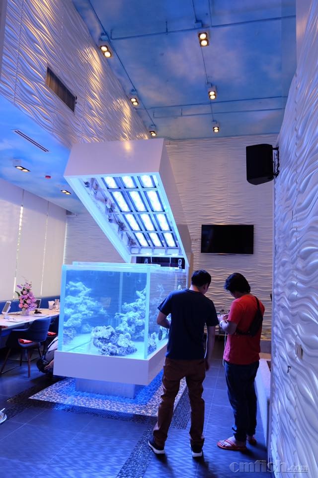 5.14 Reef discussion����ɺ��������.jpg