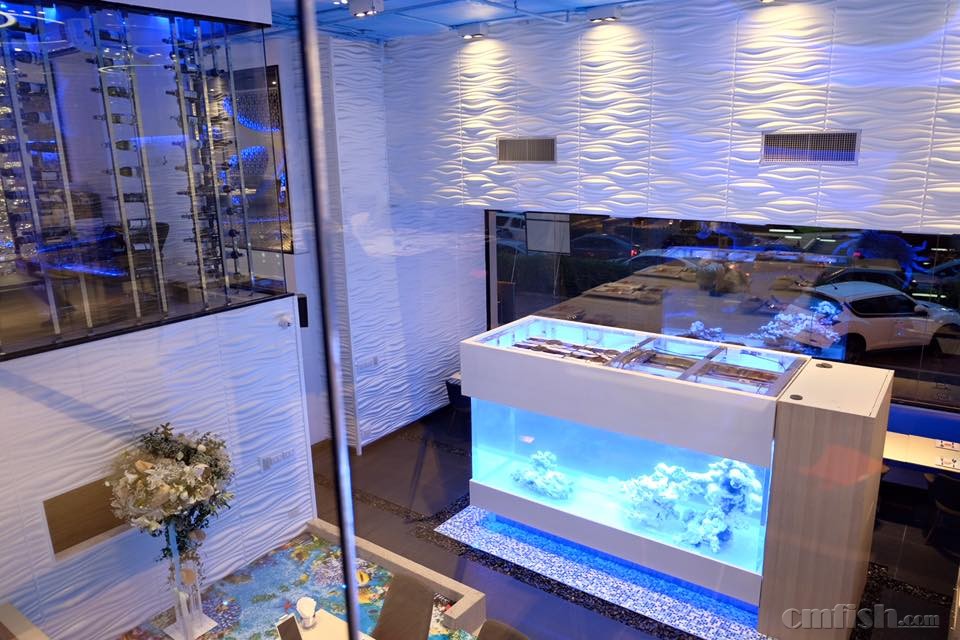 Louis Leeman Seafood 4.30b.jpg