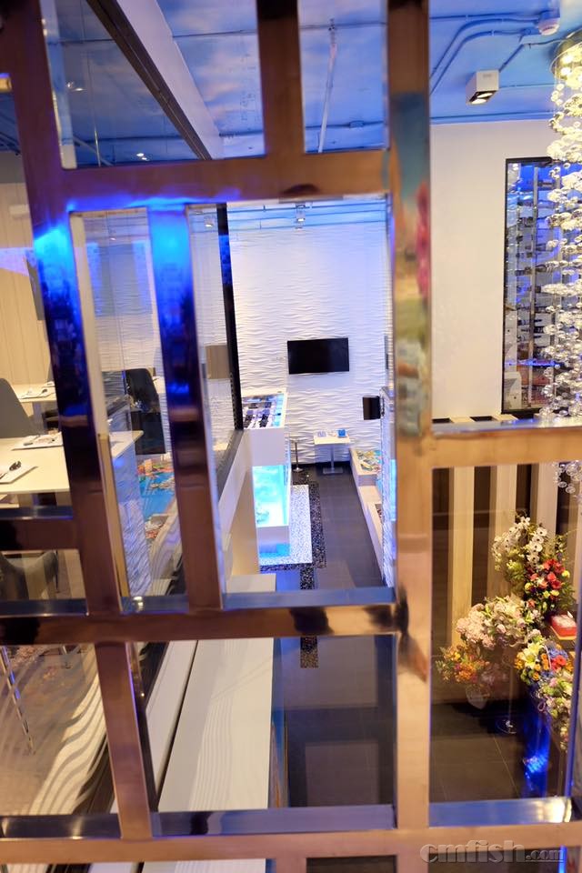 Louis Leeman Seafood 4.30c.jpg