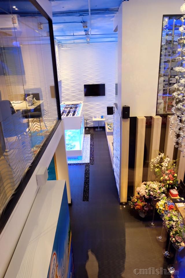 Louis Leeman Seafood 4.30d.jpg