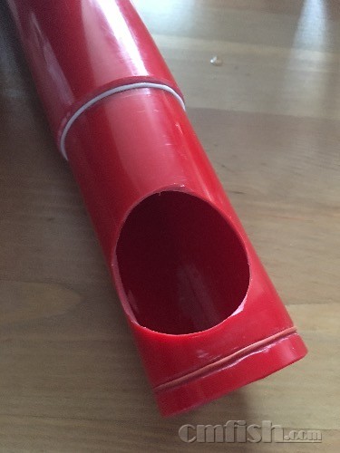 image.jpeg