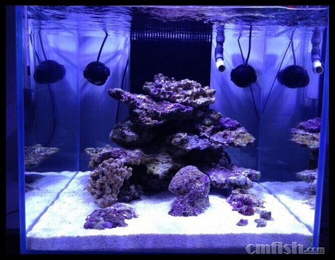 40缸造景看看怎么样