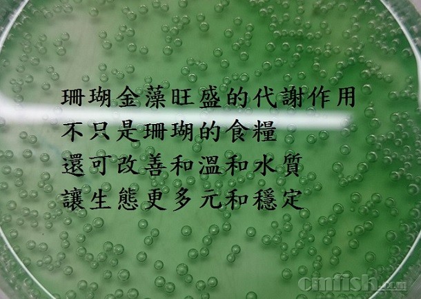 C. ɺ��������ʢ�Ĺ������ɺ��������ʢ�Ĺ������-�D����.jpg