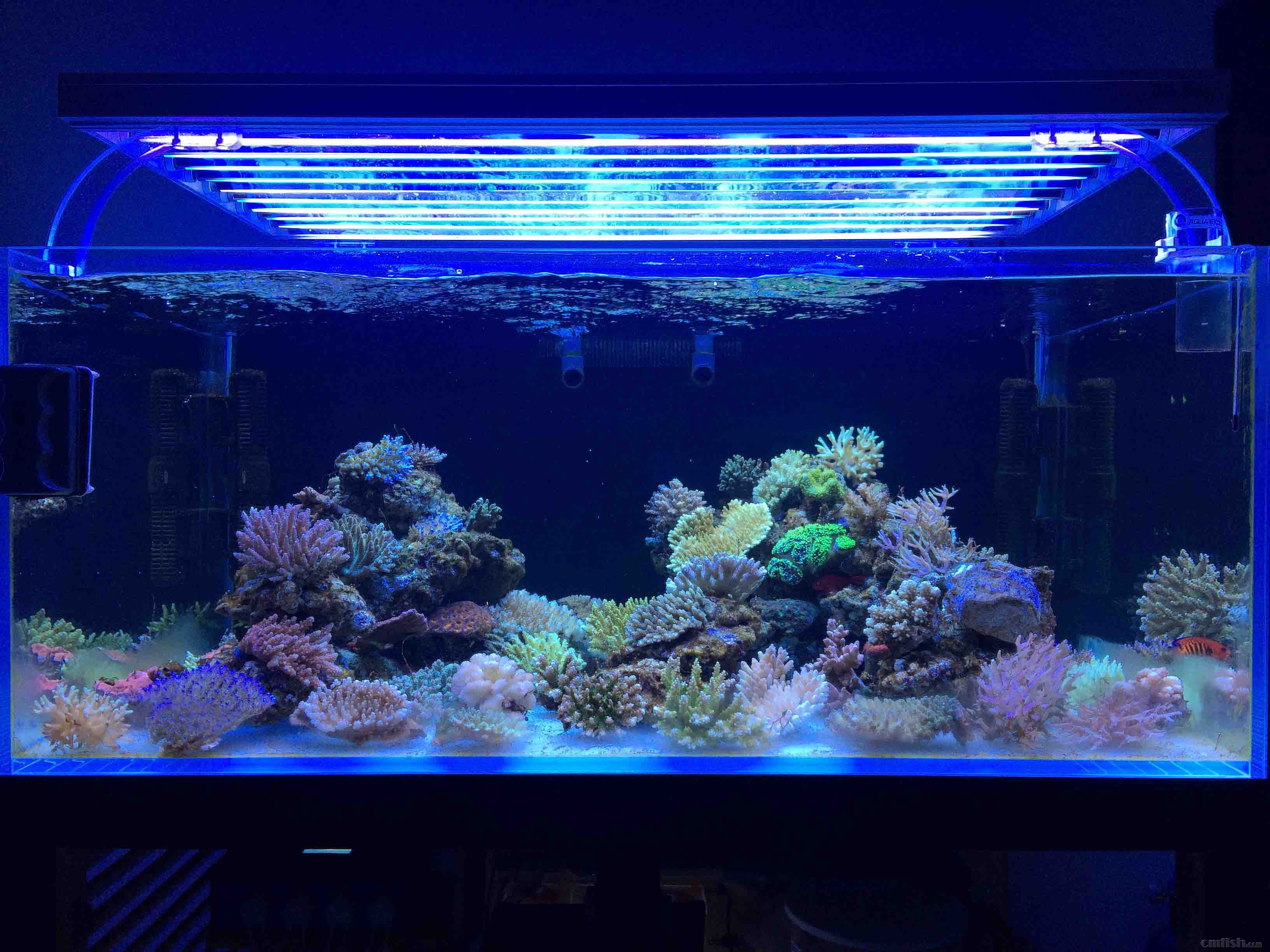 ��ʯ��þ�һ��������SPS