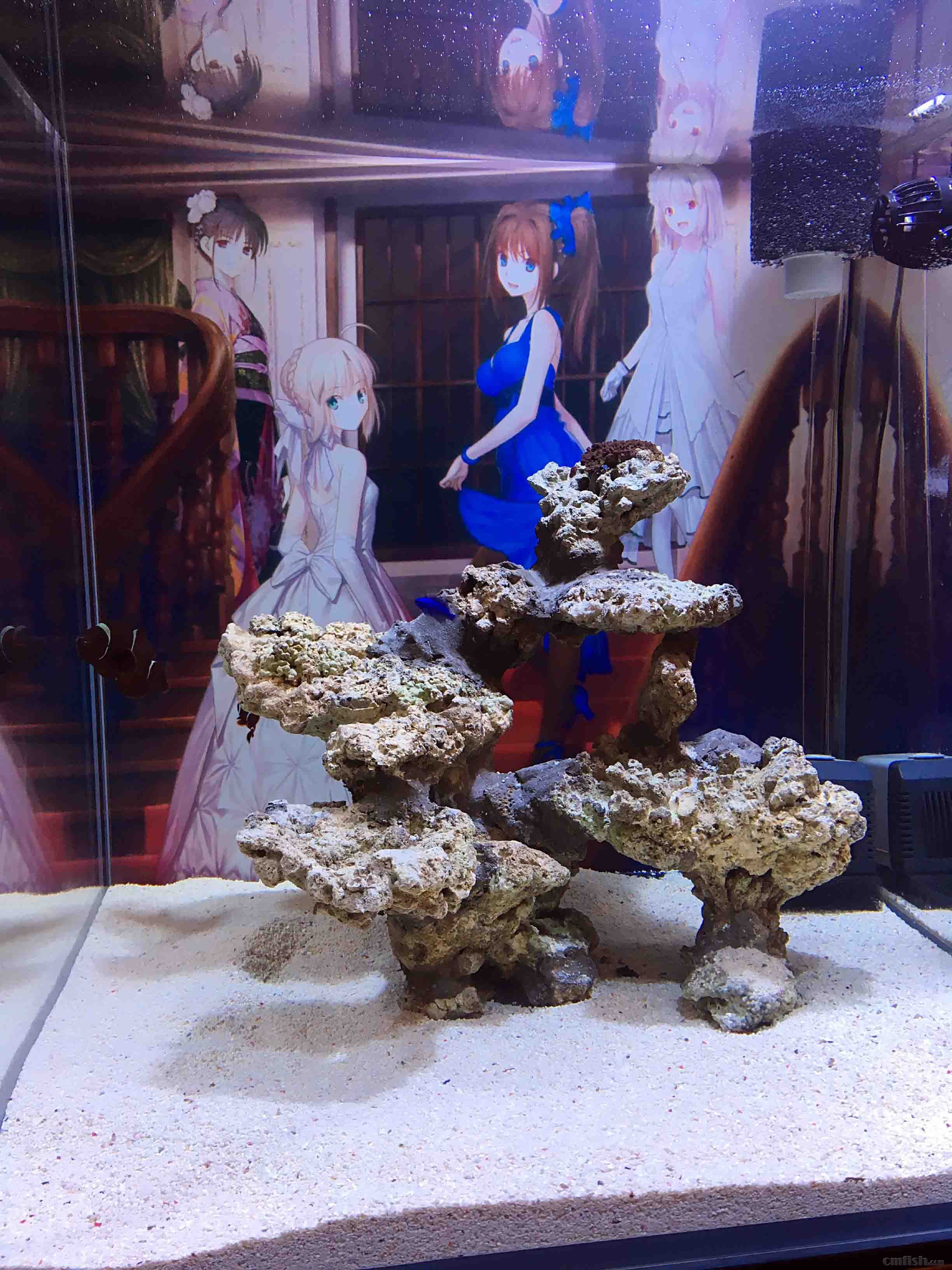 2016-08-03 191639.jpg