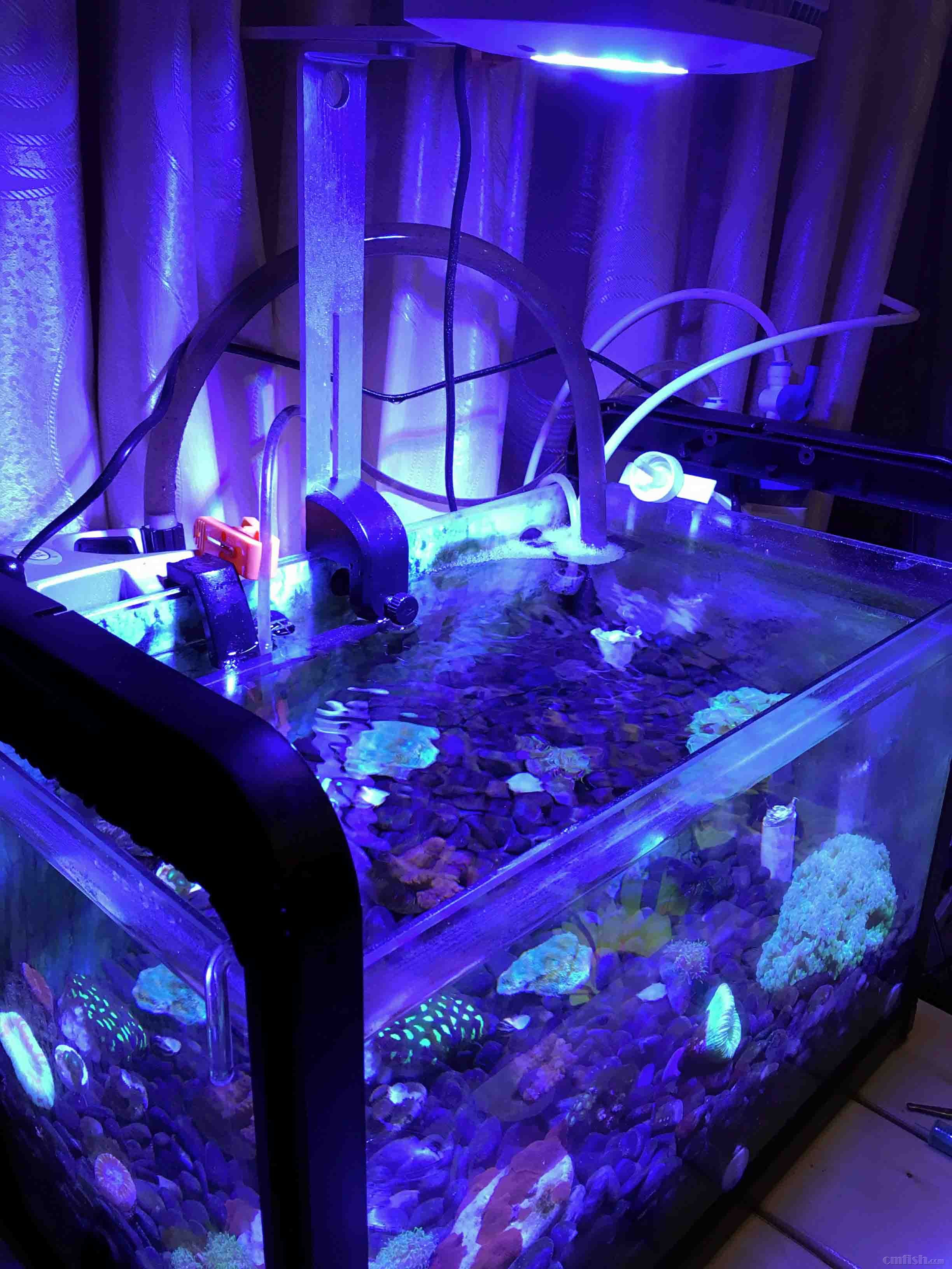 2016-08-03 191757.jpg