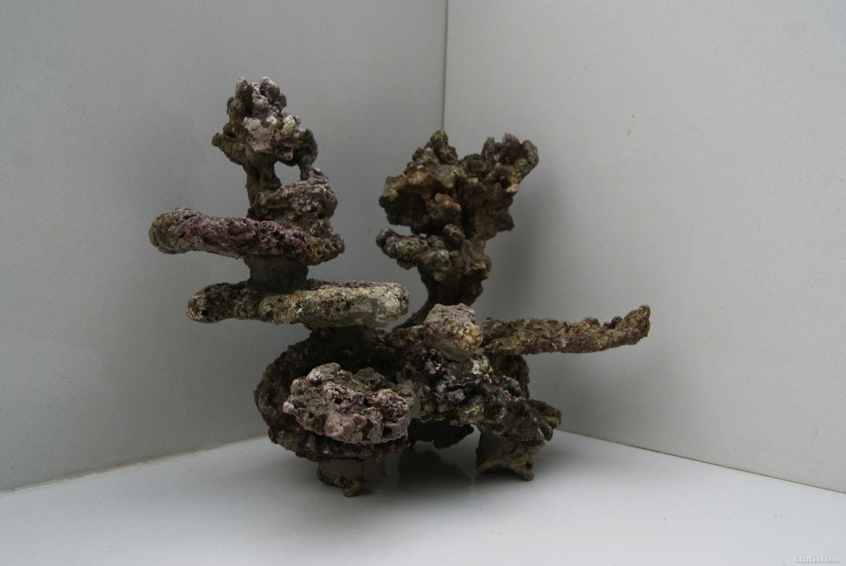 "造景大湿"第十弹 45方缸