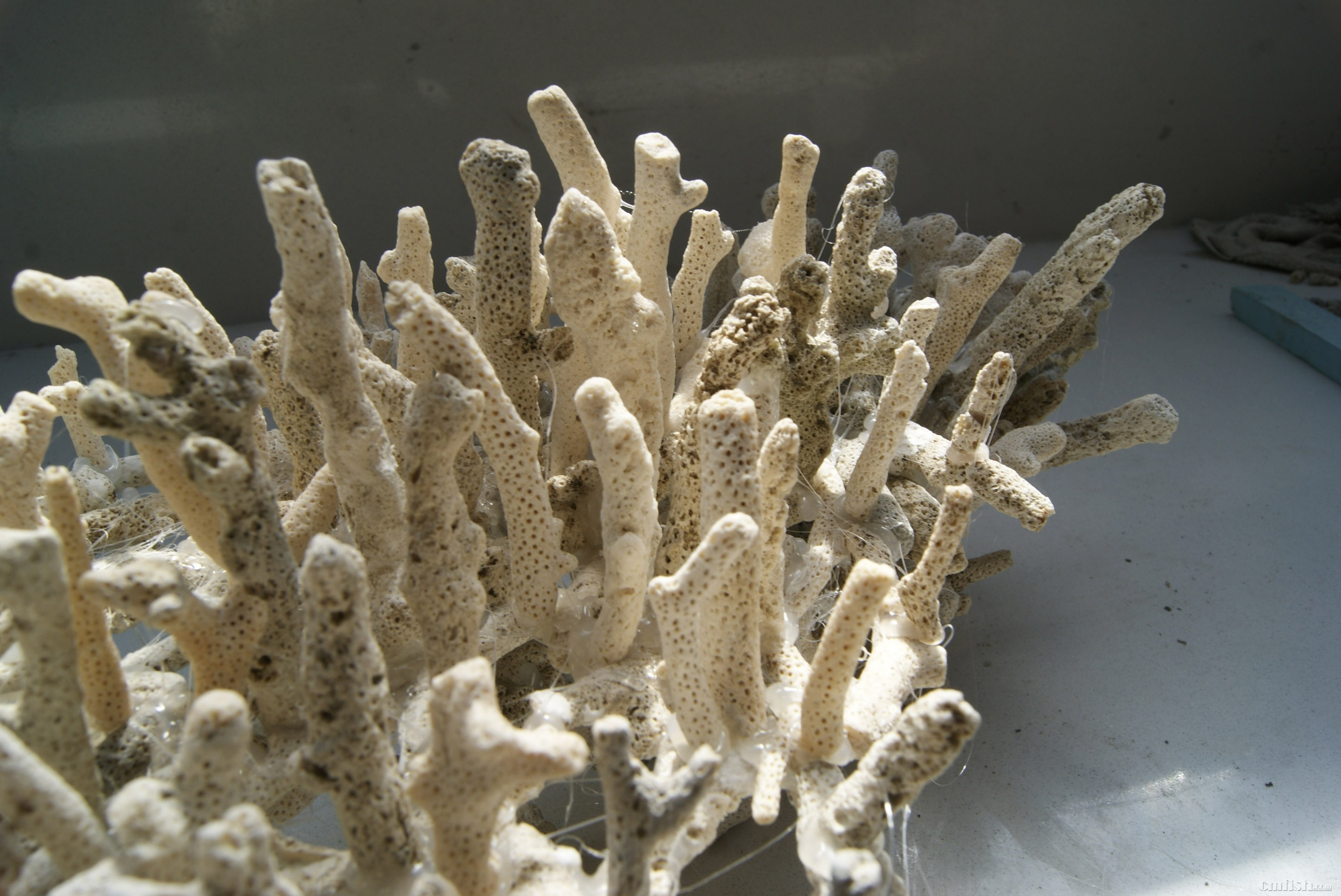 "造景大湿"系列 更新至13弹 超级微景(27楼)