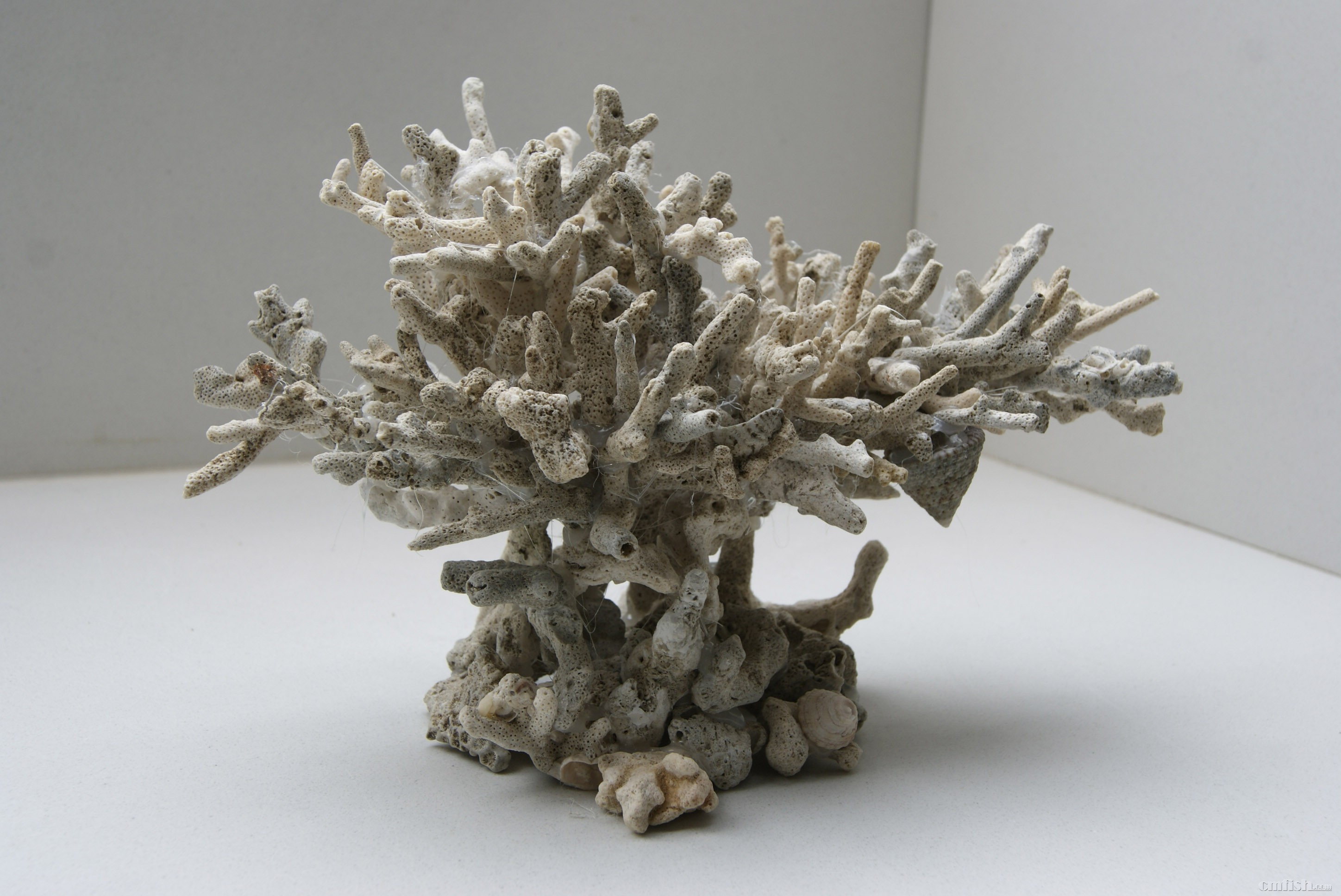 "造景大湿"系列 更新至13弹 超级微景(27楼)