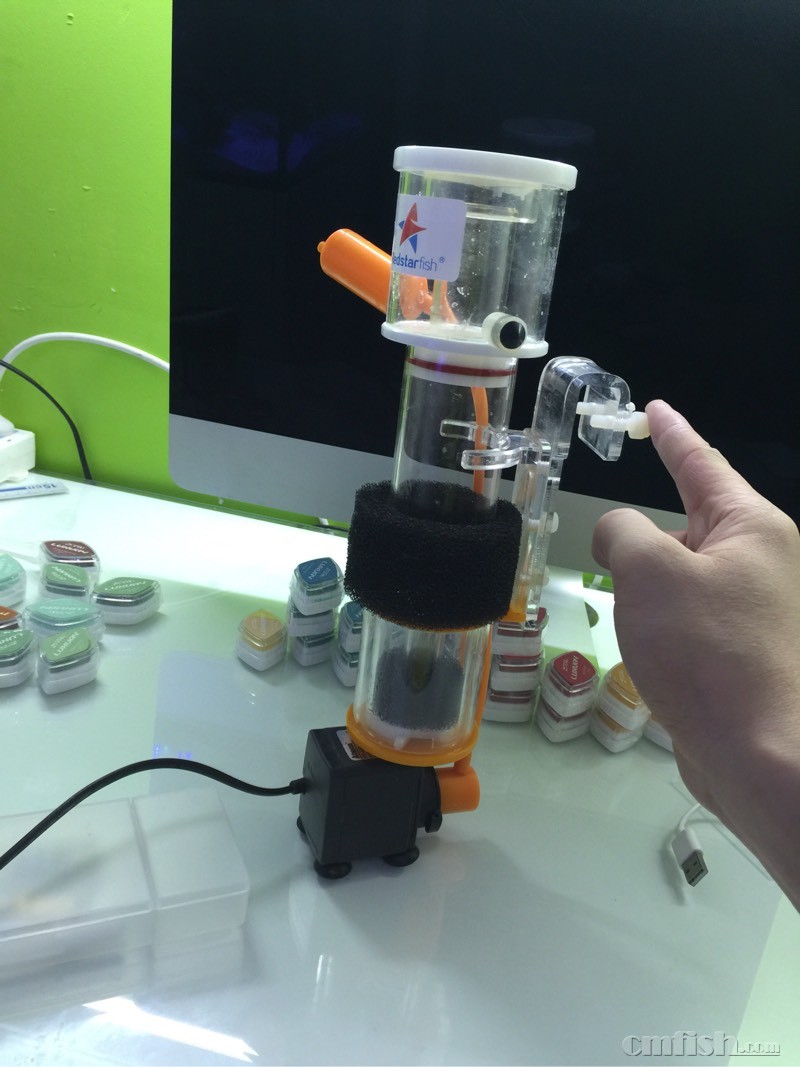 常营出售红海星小蛋分sp50尽自提