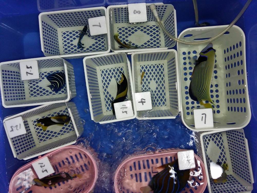 С 20160920_015348.jpg