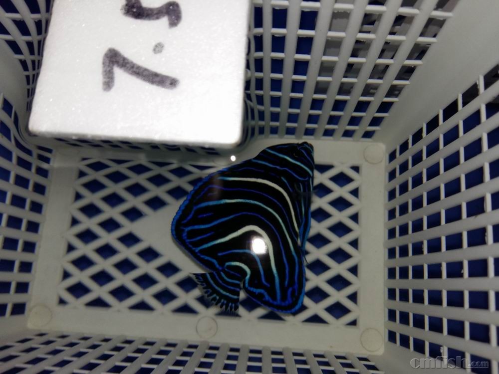 С 20160920_015423.jpg